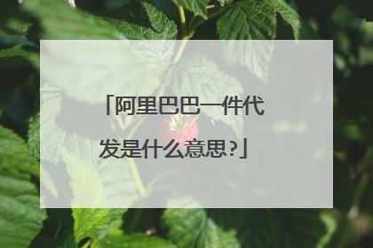 阿里巴巴一件代发是什么意思?