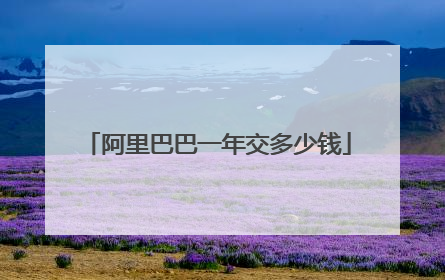 阿里巴巴一年交多少钱
