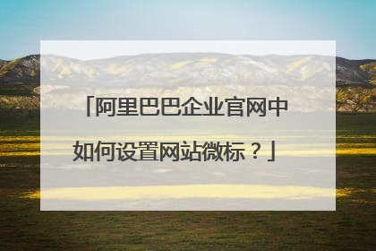 阿里巴巴企业官网中如何设置网站微标?