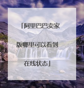 阿里巴巴卖家版哪里可以看到在线状态