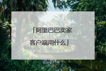 阿里巴巴卖家客户端用什么