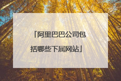阿里巴巴公司包括哪些下属网站
