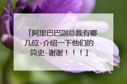 阿里巴巴副总裁有哪几位·介绍一下他们的简史·谢谢！！！
