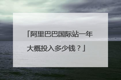 阿里巴巴国际站一年大概投入多少钱？