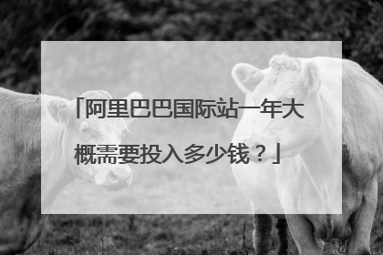阿里巴巴国际站一年大概需要投入多少钱？