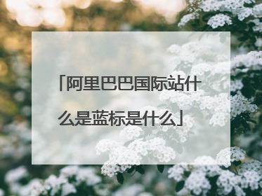 阿里巴巴国际站什么是蓝标是什么