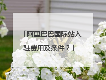 阿里巴巴国际站入驻费用及条件？