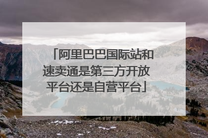 阿里巴巴国际站和速卖通是第三方开放平台还是自营平台