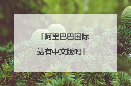 阿里巴巴国际站有中文版吗