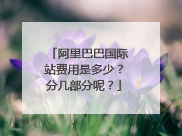 阿里巴巴国际站费用是多少？分几部分呢？