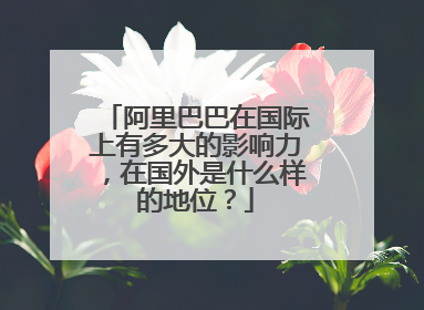 阿里巴巴在国际上有多大的影响力,在国外是什么样的地位?