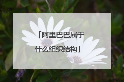 阿里巴巴属于什么组织结构