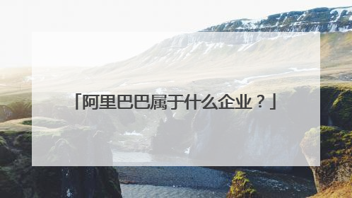 阿里巴巴属于什么企业？