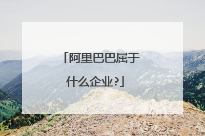 阿里巴巴属于什么企业?