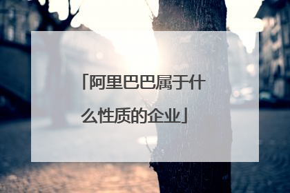 阿里巴巴属于什么性质的企业