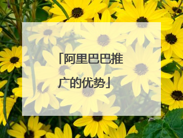 阿里巴巴推广的优势
