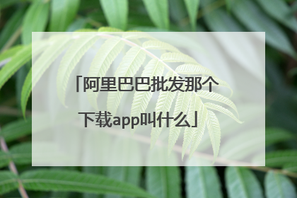 阿里巴巴批发那个下载app叫什么