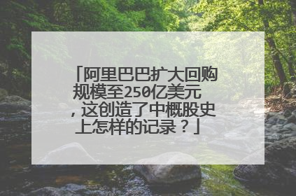 阿里巴巴扩大回购规模至250亿美元,这创造了中概股史上怎样的记录?