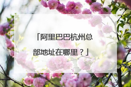 阿里巴巴杭州总部地址在哪里?