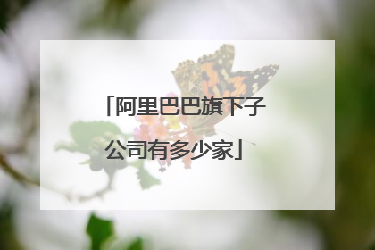 阿里巴巴旗下子公司有多少家