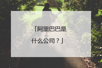 阿里巴巴是什么公司？