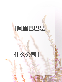阿里巴巴是什么公司