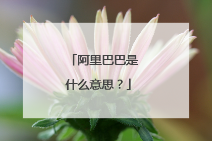 阿里巴巴是什么意思？