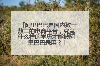 阿里巴巴是国内数一数二的电商平台,究竟什么样的学历才能被阿里巴巴录用?