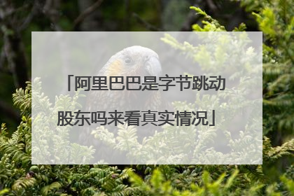 阿里巴巴是字节跳动股东吗来看真实情况