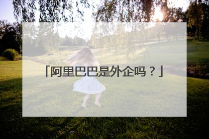 阿里巴巴是外企吗?