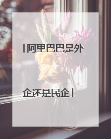 阿里巴巴是外企还是民企