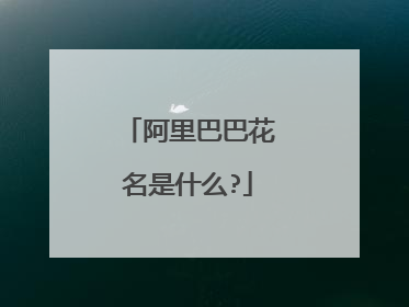 阿里巴巴花名是什么?