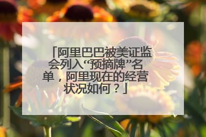 阿里巴巴被美证监会列入“预摘牌”名单,阿里现在的经营状况如何?
