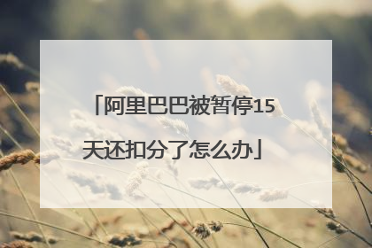阿里巴巴被暂停15天还扣分了怎么办