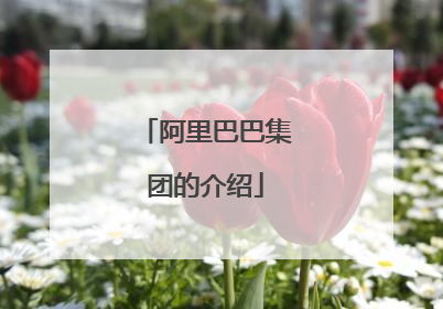 阿里巴巴集团的介绍