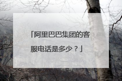 阿里巴巴集团的客服电话是多少?