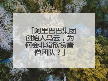 阿里巴巴集团创始人马云,为何会非常欣赏唐僧团队?