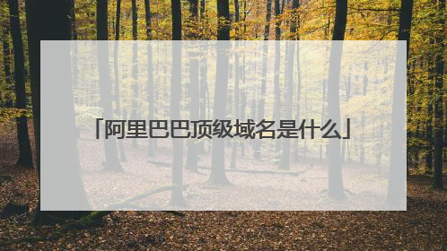 阿里巴巴顶级域名是什么