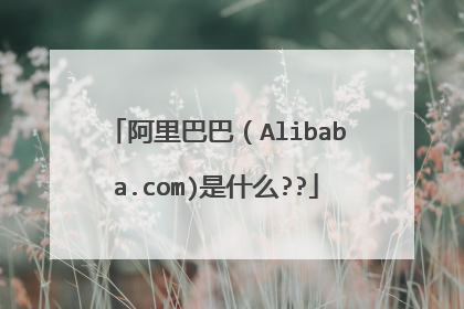 阿里巴巴（Alibaba.com)是什么??