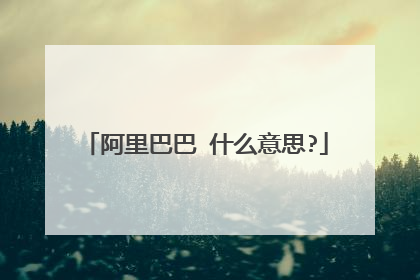 阿里巴巴 什么意思?