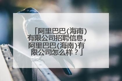 阿里巴巴(海南)有限公司招聘信息,阿里巴巴(海南)有限公司怎么样?
