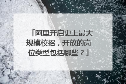 阿里开启史上最大规模校招,开放的岗位类型包括哪些?