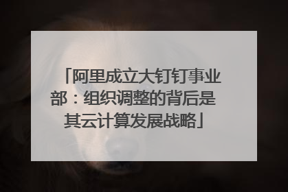 阿里成立大钉钉事业部:组织调整的背后是其云计算发展战略