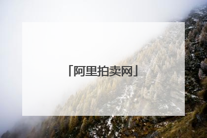 阿里拍卖网