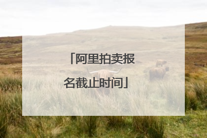 阿里拍卖报名截止时间