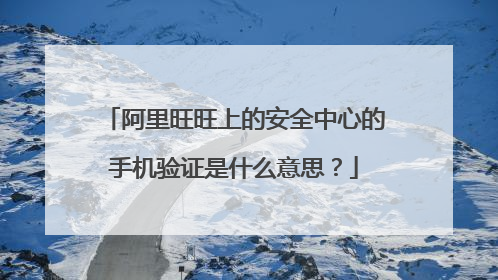 阿里旺旺上的安全中心的手机验证是什么意思?