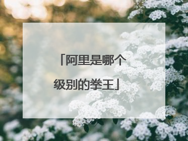 阿里是哪个级别的拳王
