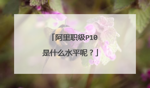 阿里职级P10是什么水平呢?