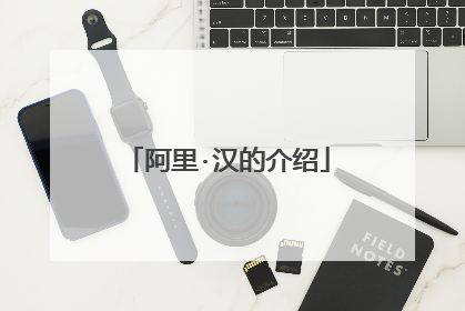 阿里·汉的介绍