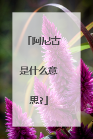 阿尼古是什么意思?